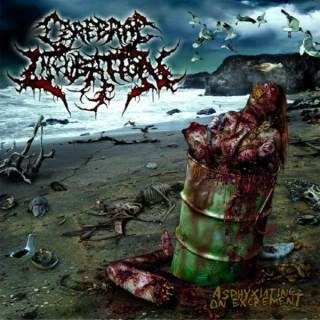 Death / Brutal Death Metal (7)