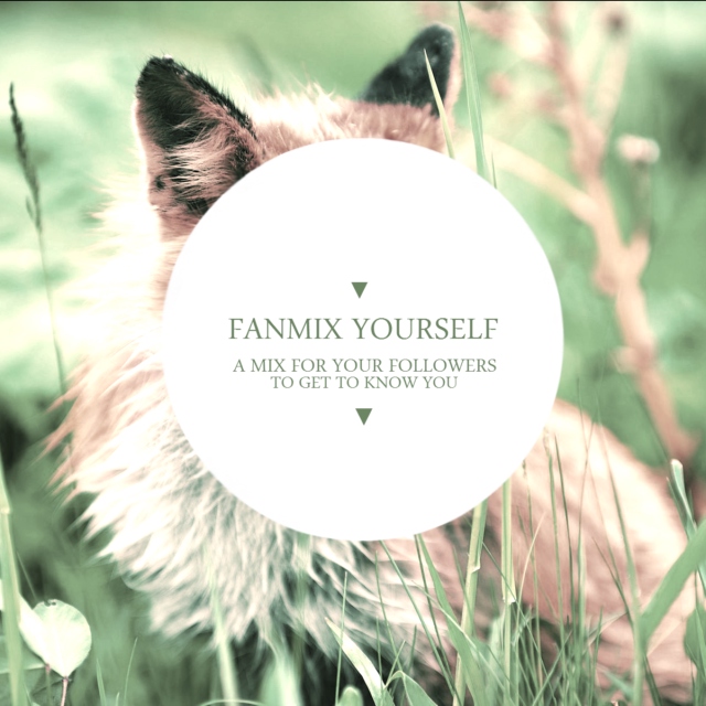 fanmix yourself