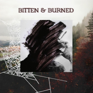 bitten & burned
