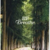 Breathe, just breathe...