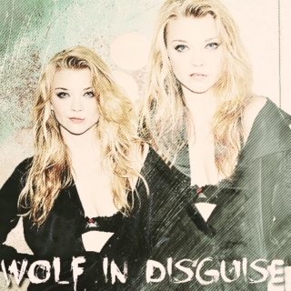 wolf in disguise.