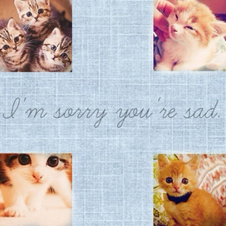 I'm sorry you're sad.