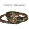 Walking with spiders