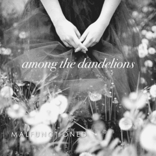 Among The Dandelions