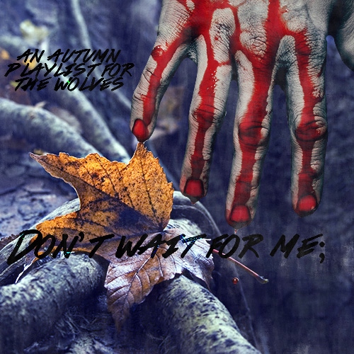 Don't wait for me; an autumn playlist for the wolves