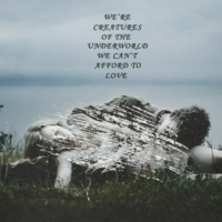 We Can't Afford To Love