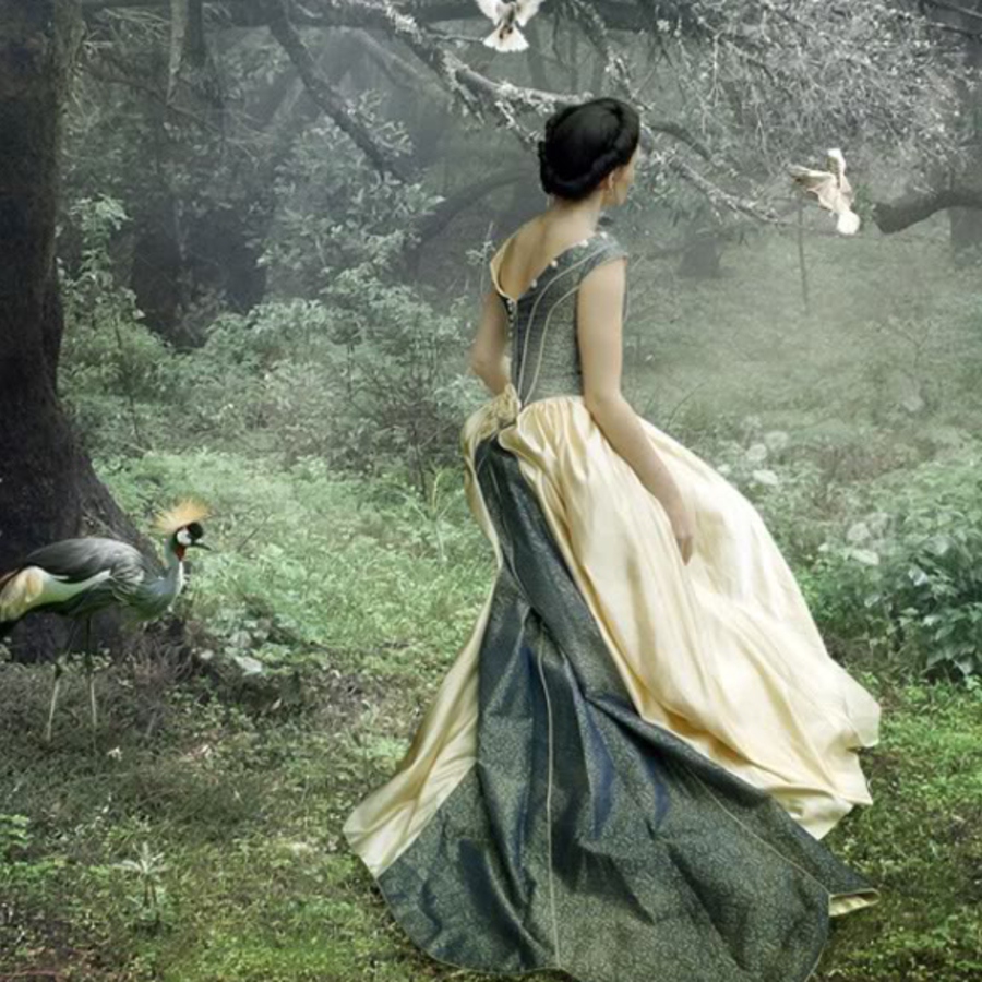 8tracks radio | A princess in the forest (9 songs) | free and music ...