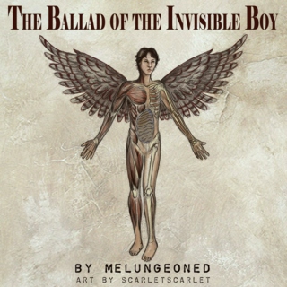 The Ballad of the Invisible Boy