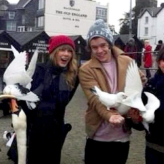 Doves? Harry & Taylor: A True Romance