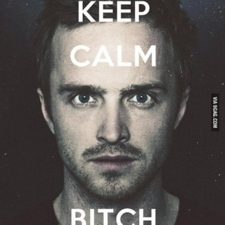 the perks of being jesse pinkman