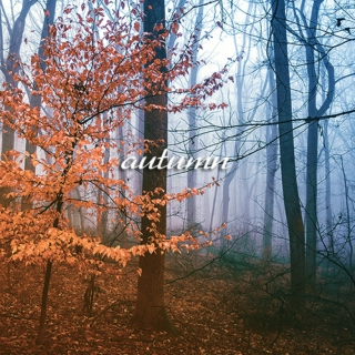 autumn II