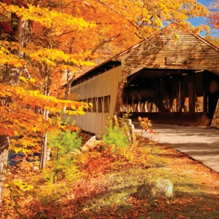 Covered Bridge: Autumn, 2013