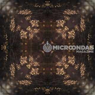 Microondas Playlist 001 / Roble 2013