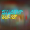 What dreams are made of (bedroom bootleg)