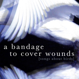 a bandage to cover wounds