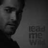 Lead Me Wild 