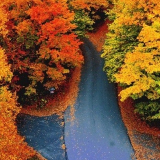 Long Autumn Drives