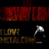 Metal-Core
