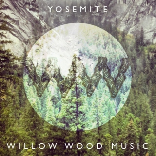Willow Wood: Yosemite