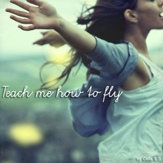 Teach me how to fly