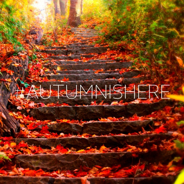 #autumnishere