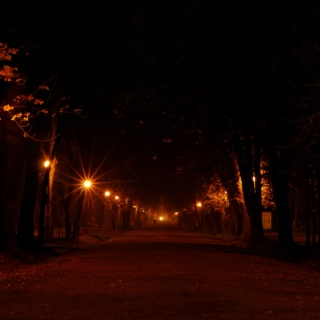 long late night Autumn walks(this is what songs are for)