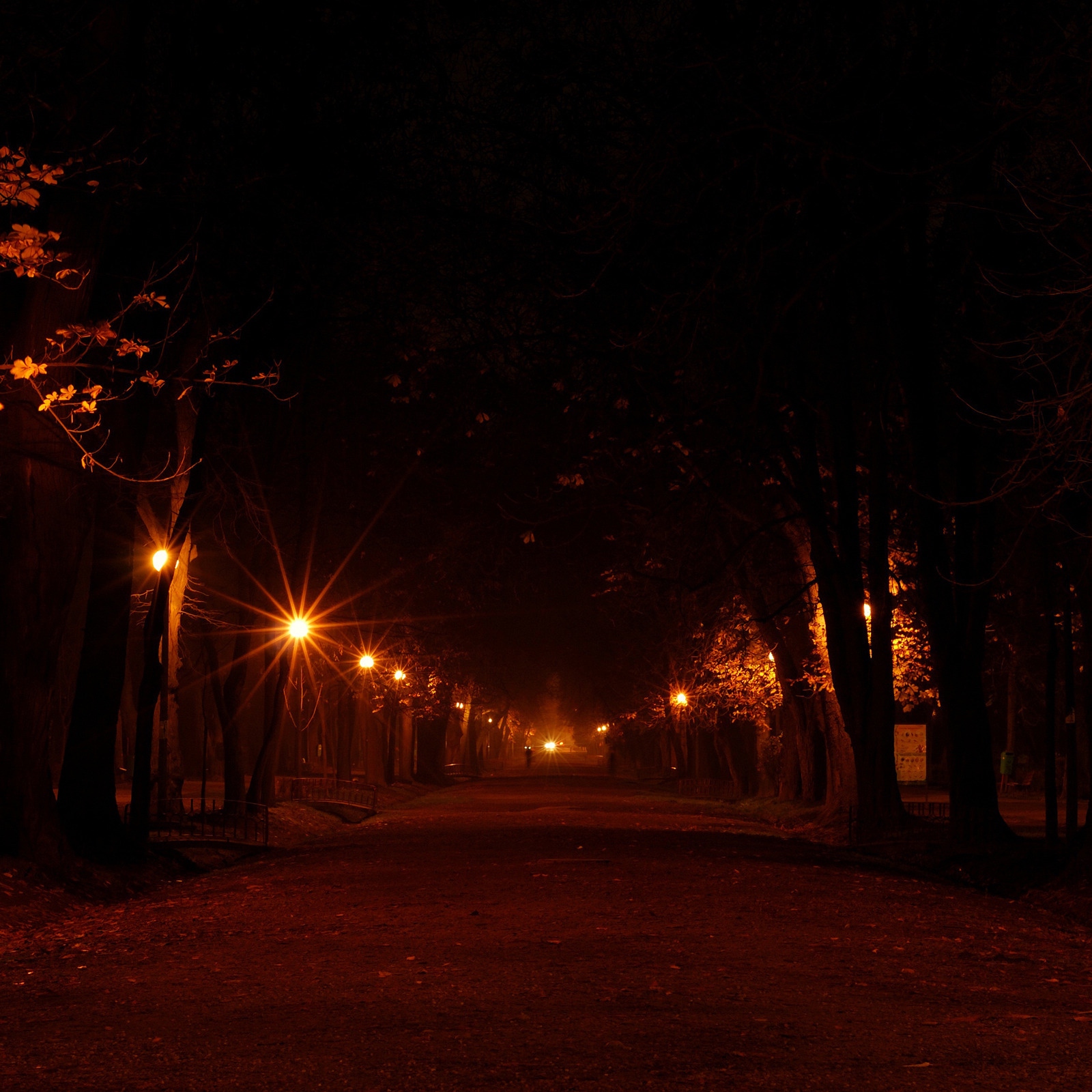Музыка на улице ночью. Ночной Наташинский парк. Ночная аллея. Темная улица. Ночь в городе парке.