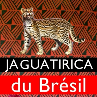 Jaguatirica du Brésil