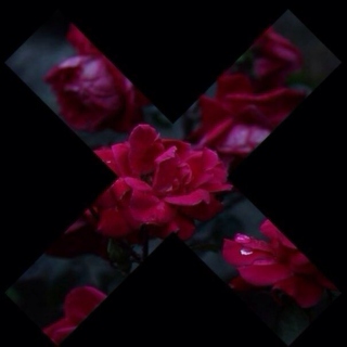 the power of The XX