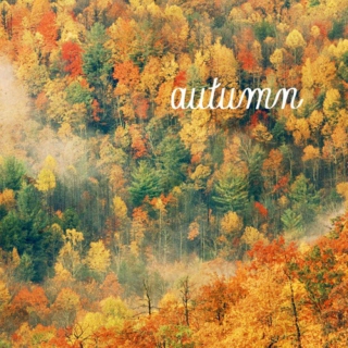 hello autumn;