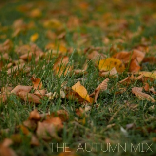 The Autumn Mix