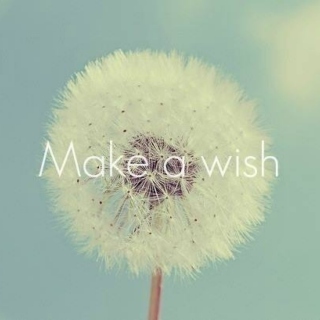 Make a wish.