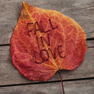 Fall in love with Fall <3