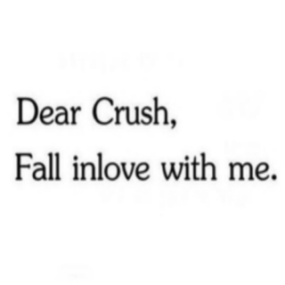 Dear crush,