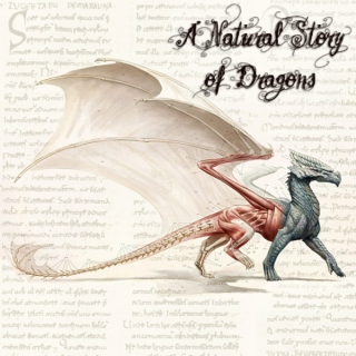 A Natural Story of Dragons