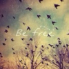 lets be free together