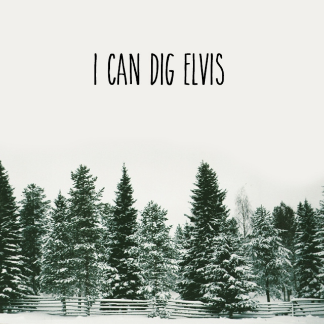 I Can Dig Elvis