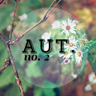 Aut. no. 2