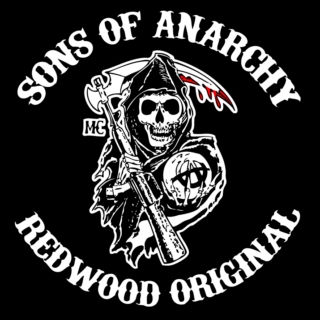 The Sons of Anarchy