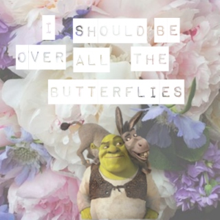 ♡ i should be over all the butterflies ♡ a shronkey playlist 