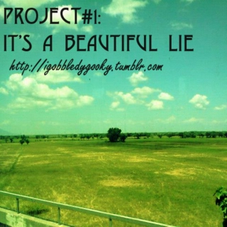 Project 1: Oh! It's a beautiful lie