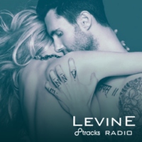 LEVINE Radio