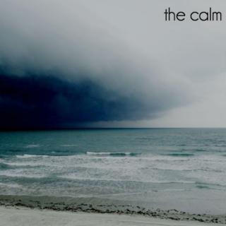 zealot: the calm