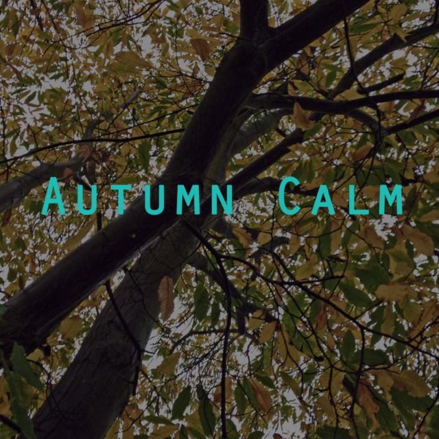 Autumn Calm
