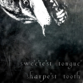 sweetest tongue, sharpest tooth