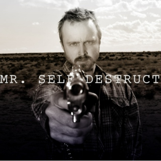 mr. self destruct 