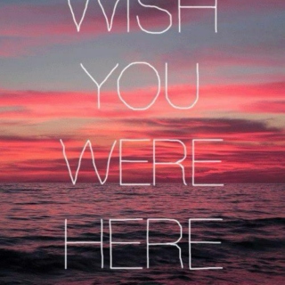 I wish you were here