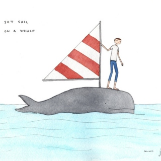 Set Sail on a Whale
