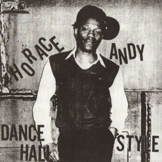  never liked raggae, before horace andy