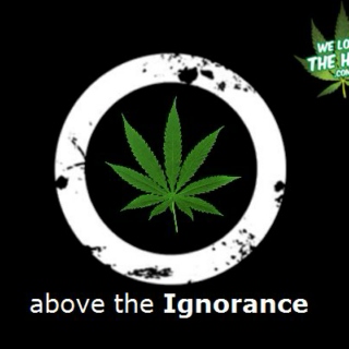 Above The Ignorance